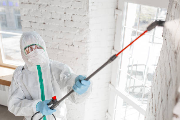 Best Indoor Air Quality Assessment  in Blakely, GA