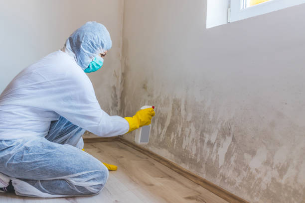 Forensic Mold Investigation in Blakely, GA