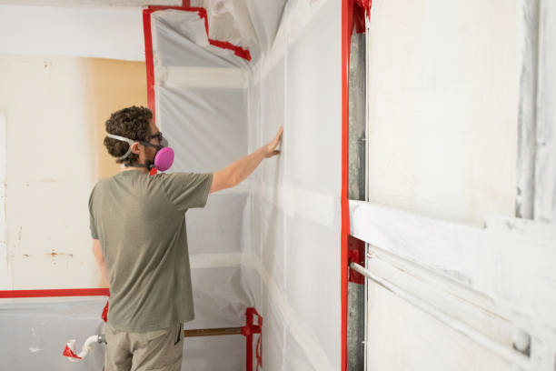  Blakely, GA Mold Removal Pros